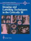 Imaging and Labelling Techniques in the Critically Ill (Current Concepts in Critical Care) Cover Image
