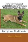 How to Train and Understand Your Belgian Malinois Puppy & Dog By Vince Stead Cover Image