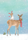 Winter Friends Small Boxed Holiday Cards By Peter Pauper Press Inc (Created by) Cover Image