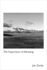The Experience of Meaning By Jan Zwicky Cover Image
