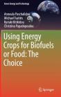 Using Energy Crops for Biofuels or Food: The Choice (Green Energy and Technology) By Annoula Paschalidou, Michael Tsatiris, Kyriaki Kitikidou Cover Image