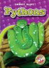 Pythons (Snakes Alive) By Colleen Sexton Cover Image