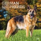 German Shepherds 2020 Square Foil By Inc Browntrout Publishers Cover Image