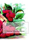 Improved Culture of the Strawberry, Raspberry and Gooseberry By Roger Chambers (Introduction by), Thomas P. Lewis Haynes Cover Image