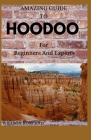 AMAZING GUIDE TO HOODOO For Beginners And Experts By Willson Ross Rnd Cover Image