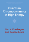 Quantum Chromodynamics at High Energy (Cambridge Monographs on Particle Physics #33) By Yuri V. Kovchegov, Eugene Levin Cover Image