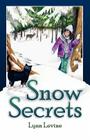 Snow Secrets By Lynn Levine Cover Image