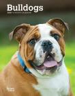 Bulldogs 2020 Engagement By Inc Browntrout Publishers Cover Image