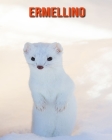 Ermellino: Foto stupende e fatti divertenti Libro sui Ermellino per bambini Cover Image