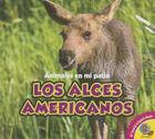 Los Alces Americanos (Animales en Mi Patio) Cover Image