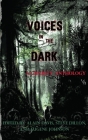 Voices in the Dark By Eugene Johnson (Editor), Peter Straub, Mick Garris Cover Image