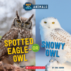 Spotted Eagle-Owl or Snowy Owl (Wild World: Hot and Cold Animals) By Eric Geron Cover Image