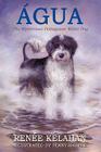 Agua, the Mysterious Portuguese Water Dog By Renee Kelahan Cover Image