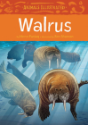 Animals Illustrated: Walrus (English) Cover Image