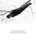 Charles Ray: Figure Ground By Kelly Baum, Brinda Kumar, Charles Ray (Contributions by), Hal Foster (Contributions by) Cover Image