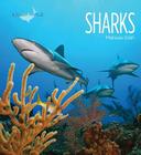Sharks (Living Wild) Cover Image