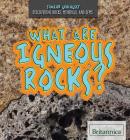 What Are Igneous Rocks? (Junior Geologist) By Elisa Peters Cover Image