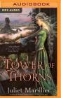 Tower of Thorns (Blackthorn & Grim #2) Cover Image