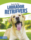 Labrador Retrievers Cover Image