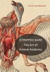 Stripped Bare: The Art of Animal Anatomy Cover Image