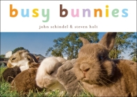 Busy Bunnies (A Busy Book) By John Schindel, Steven Holt (Photographs by) Cover Image