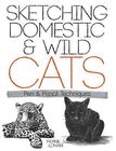 Sketching Domestic and Wild Cats: Pen and Pencil Techniques (Dover Art Instruction) By Frank J. Lohan Cover Image