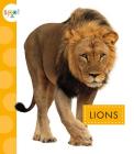 Lions By Mary Ellen Klukow Cover Image