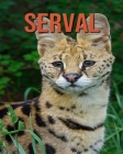 Serval: Amazing Photos & Interesting Facts Book about Serval By Evan Gilliard Cover Image