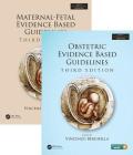 Maternal-Fetal and Obstetric Evidence Based Guidelines, Two Volume Set, Third Edition (Series in Maternal Fetal Medicine) By Vincenzo Berghella (Editor) Cover Image