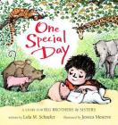 One Special Day: A Story for Big Brothers and Sisters By Lola M. Schaefer, Jessica Meserve (Illustrator), Jessica Meserve (Cover design or artwork by) Cover Image