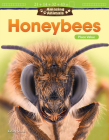 Amazing Animals: Honeybees: Place Value (Mathematics in the Real World) By Kristy Stark Cover Image
