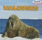 Walruses (Powerkids Readers: Sea Friends) By Sam Drumlin Cover Image