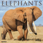 Elephants 2024 12 X 12 Wall Calendar Cover Image