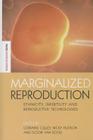 Marginalized Reproduction: Ethnicity, Infertility and Reproductive Technologies (Earthscan Science in Society) By Lorraine Culley (Editor), Nicky Hudson (Editor), Floor Van Rooij (Editor) Cover Image