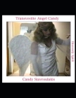 Transvestite Angel Candy Cover Image
