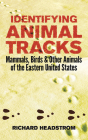 Identifying Animal Tracks: Mammals, Birds, and Other Animals of the Eastern United States By Richard Headstrom Cover Image
