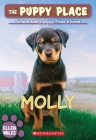 Molly (The Puppy Place #31) By Ellen Miles Cover Image