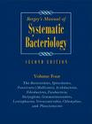 Bergey's Manual of Systematic Bacteriology: Volume 4: The Bacteroidetes, Spirochaetes, Tenericutes (Mollicutes), Acidobacteria, Fibrobacteres, Fusobac (Bergey's Manual/ Systemic Bacteriology (2nd Edition)) Cover Image