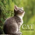 Cat Calendar 2018: 16 Month Calendar By Paul Jenson Cover Image