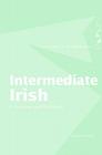 Intermediate Irish: A Grammar and Workbook (Routledge Grammar Workbooks) Cover Image