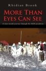 More Than Eyes Can See: A Nine Month Journey Through the AIDS Pandemic. By Rhidian Brook Cover Image