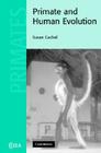 Primate and Human Evolution (Cambridge Studies in Biological and Evolutionary Anthropolog) By Susan Cachel Cover Image