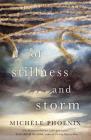 Of Stillness and Storm By Michele Phoenix Cover Image