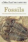 Fossils: A Fully Illustrated, Authoritative and Easy-to-Use Guide (A Golden Guide from St. Martin's Press) By Frank H. T. Rhodes, Paul R. Shaffer, Herbert S. Zim, Raymond Perlman (Illustrator) Cover Image