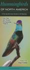 Hummingbirds of North America: A Comprehensive Guide to All Species By Greg R. Homel Cover Image