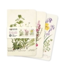 Royal Botanic Garden Edinburgh Set of 3 Mini Notebooks (Mini Notebook Collections) By Flame Tree Studio (Created by) Cover Image