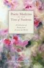 Poetic Medicine in the Time of Pandemic: A Collection of Poems from Around the World By Dawn H. Li Cover Image