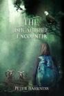 The Ishcabibble Encounter Cover Image