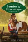 Chasing Gold (Marguerite Henry's Ponies of Chincoteague #3) By Catherine Hapka Cover Image