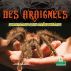 Des Araignées Effrayantes Mais Intéressantes (Creepy But Cool Spiders) By Julie K. Lundgren, Annie Evearts (Translator) Cover Image